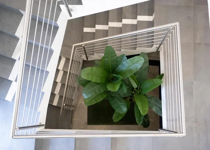 Aphrodite House Oda ve Kahvaltı